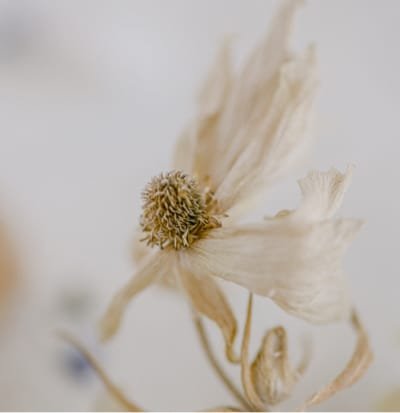 herbal-remedy_48